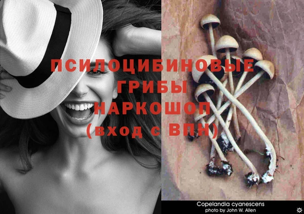 амфетамин Богородск