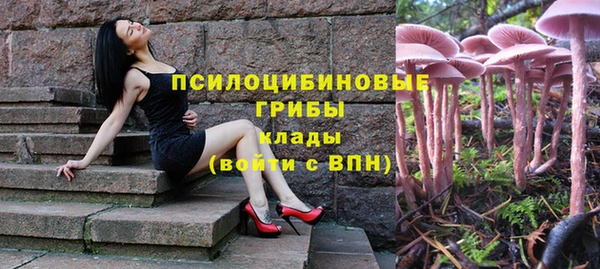 марихуана Богородицк